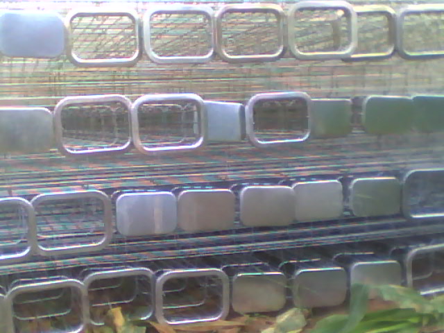 ���γ��m�Ǽ�