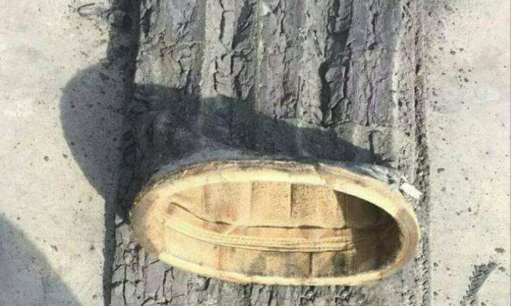 ���m���������DƬ